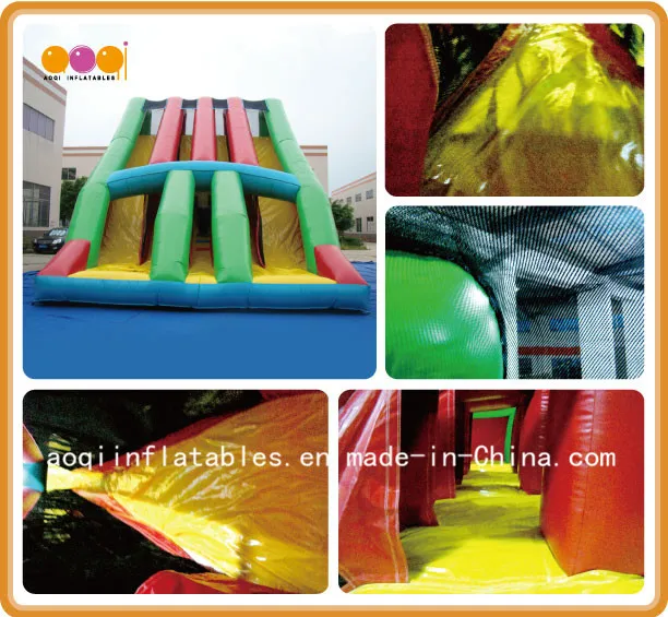 Amusement Park Equipment Big Colorful Inflatable Water Slide (AQ09169)