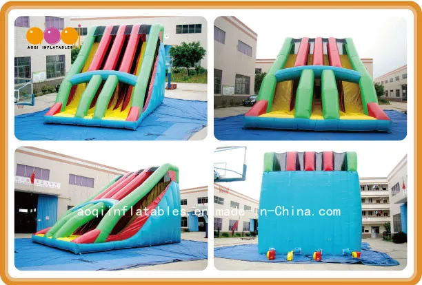 Amusement Park Equipment Big Colorful Inflatable Water Slide (AQ09169)