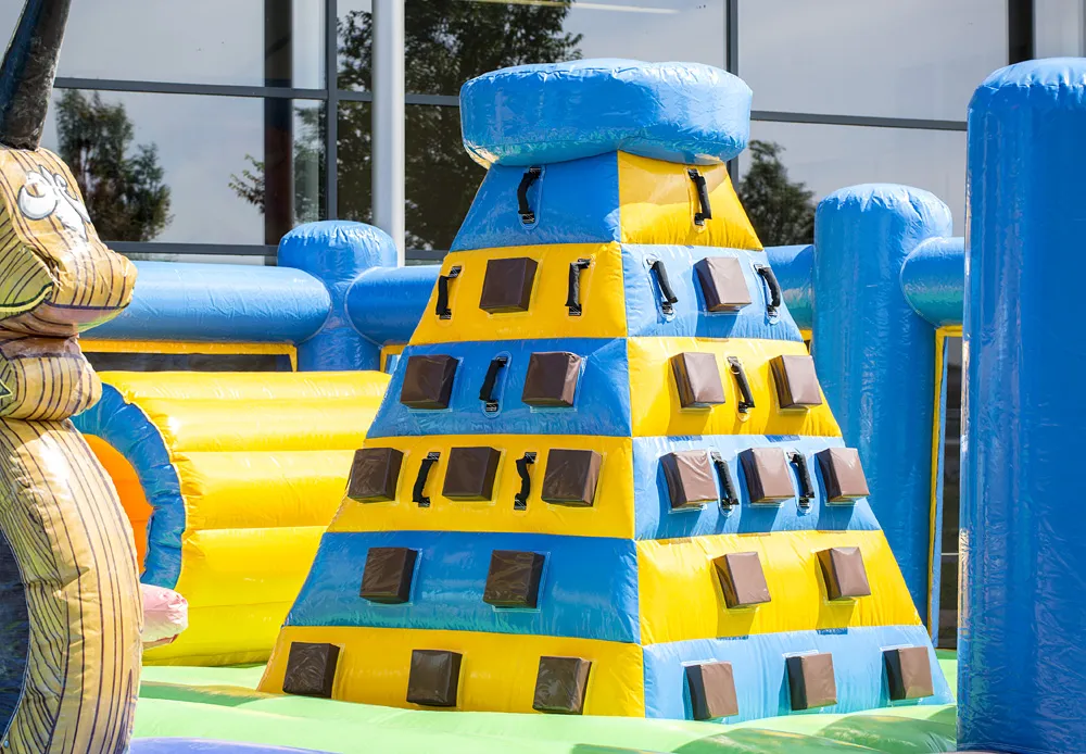 Funny Inflatable Bounce Bouncy House Inflatable Jumping Bouncer Combo with Slide