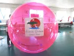 Hot Selling Human Hamster Inflatable Rolling Ball for Water or Stage